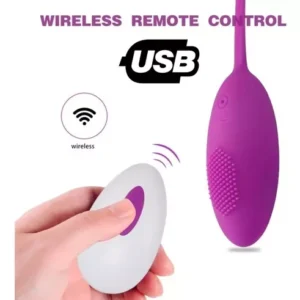 Vibrador Huevo con Control Recargable Playful